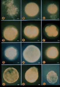 cgcp104.jpg (8133 �Ӧ줸��)