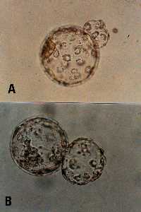 cgcp105.jpg (7287 �Ӧ줸��)