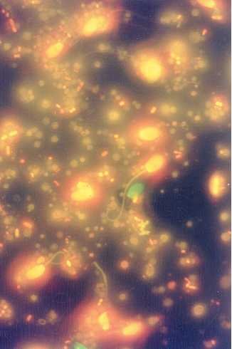 cgcp26.jpg (18477 �Ӧ줸��)