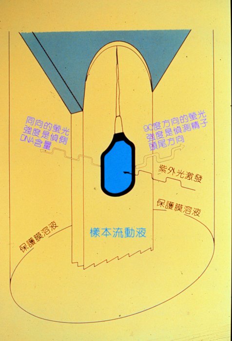 cgcp33.jpg (53793 �Ӧ줸��)