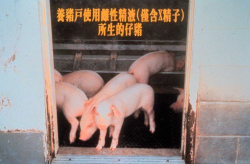 cgcp37.jpg (32185 �Ӧ줸��)