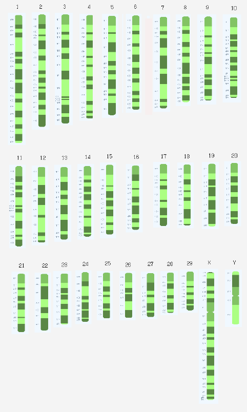 def1-2b.gif (29339 bytes)